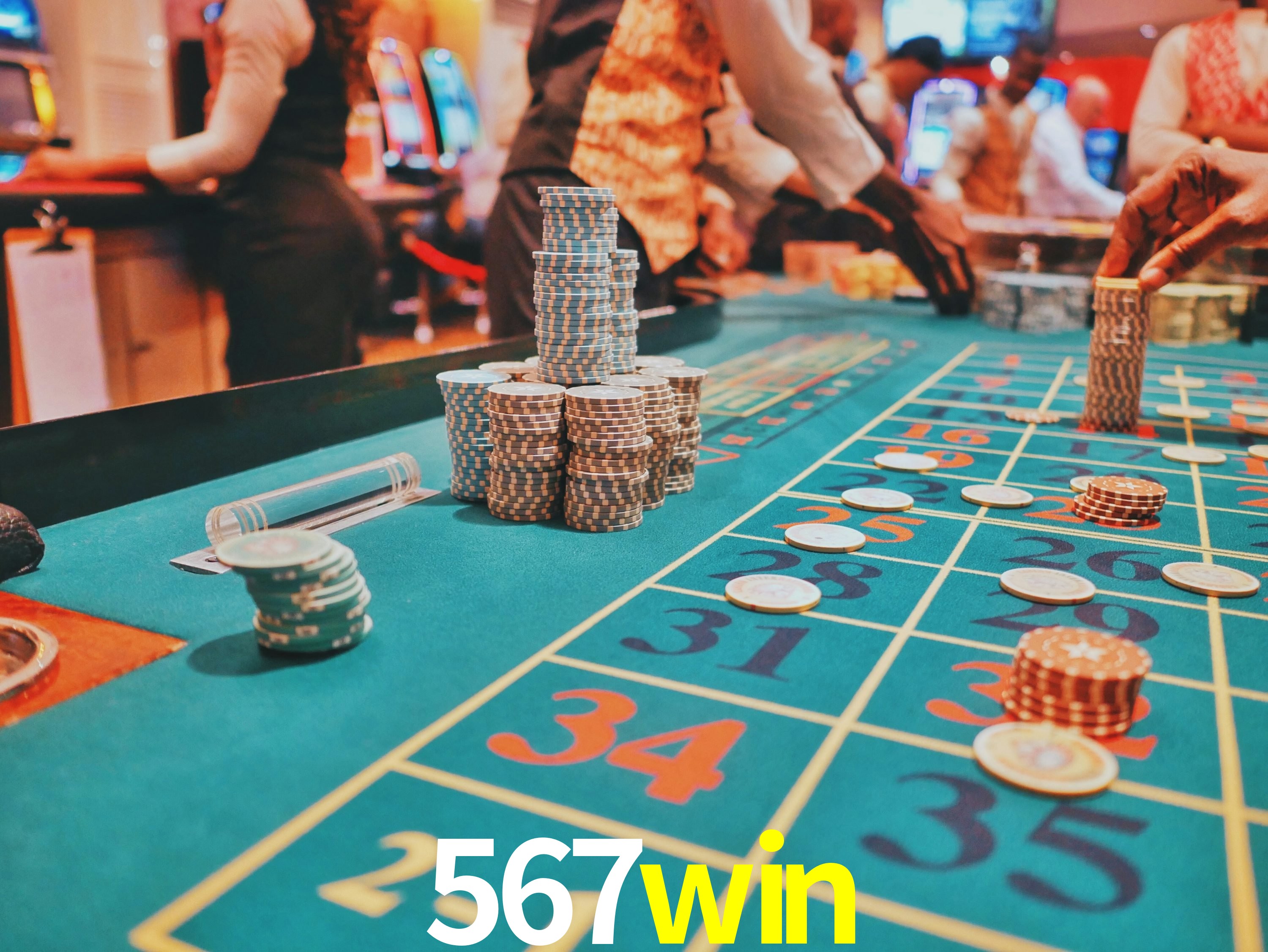 Sports Statistics 567win